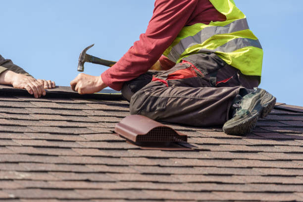 Best Roof Repair Services  in Raymondville, TX