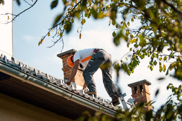 Quick and Trustworthy Emergency Roof Repair Services in Raymondville, TX