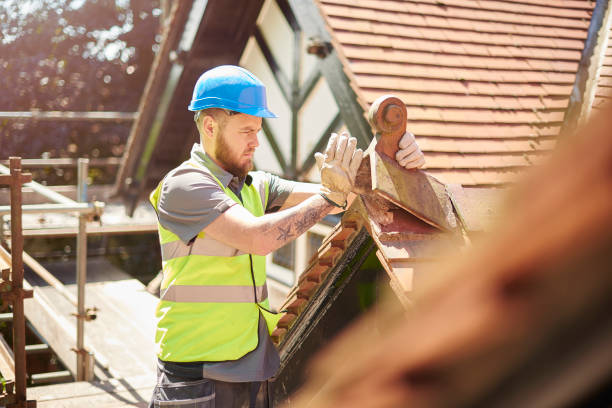 Best Roof Gutter Cleaning  in Raymondville, TX