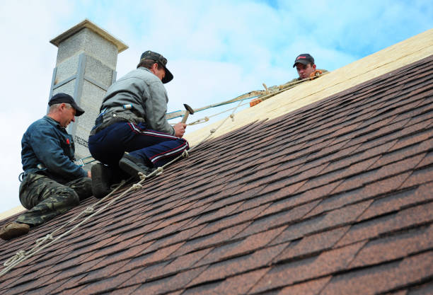Best Residential Roofing Contractor  in Raymondville, TX